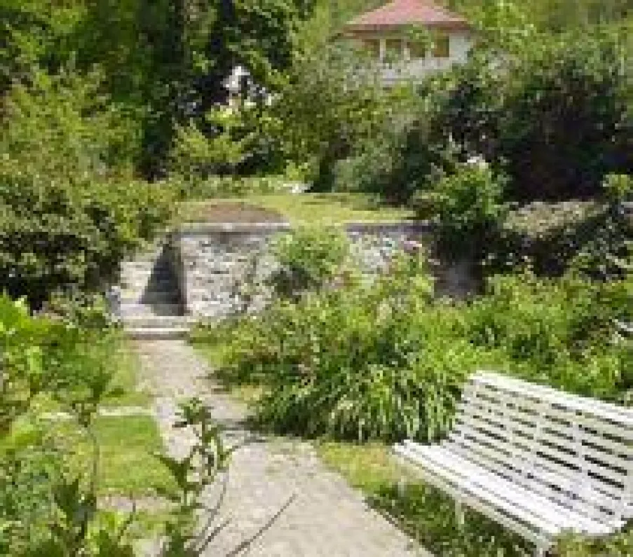 Jardin 500 m2 sur 2 niveaux  .cloturé