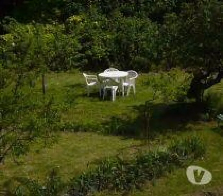 jardin partie haute