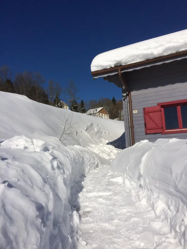Chalet  delenna