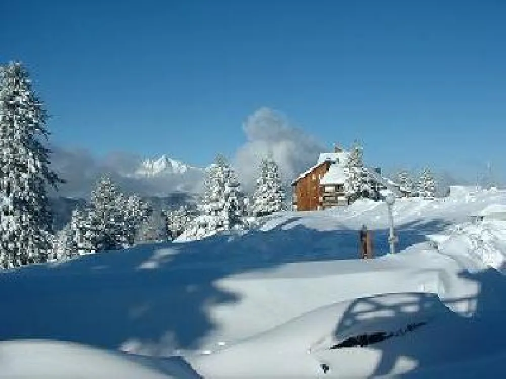 In Guzet - Ariège ( Pyrenees ), a nice flat
with living room ( double sofa )- a room with 3 single beds - 2 bathrooms with toilet - 
balcon - beautiful landscape ( mountains )