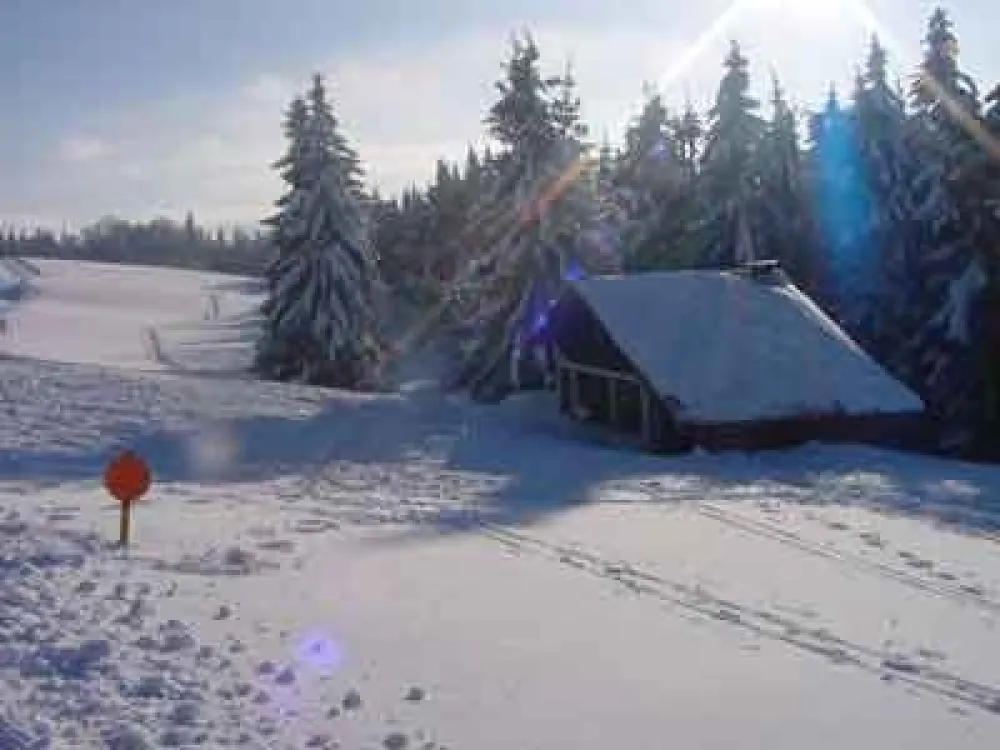 Pistes de ski de fond à La Bresse.
Les champis sation de Lispach