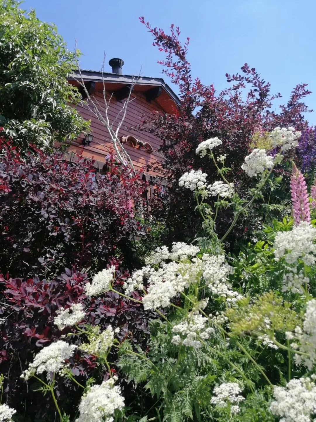 Au printemps et en été, la nature est magnifique avec l'exposition de fleurs de toutes sortes. En ces saisons où la nature explose, vous n'aurez que l'embarras du choix pour aller randonner. Que vous soyez débutants ou marcheurs confirmés, la région offre