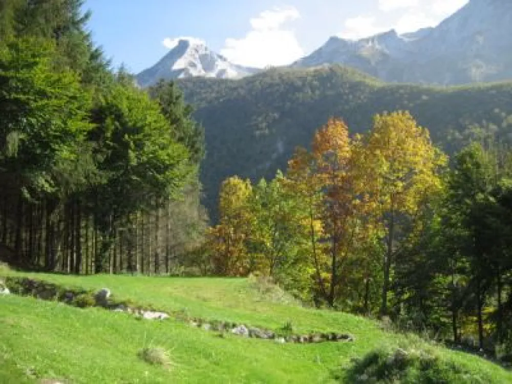 UNE PARTIE DE LA VUE PANORAMIQUE DE LA TERASSE: LE PIC DU GER, EN DESSOUS UNE DENSE FORET DE HETRES