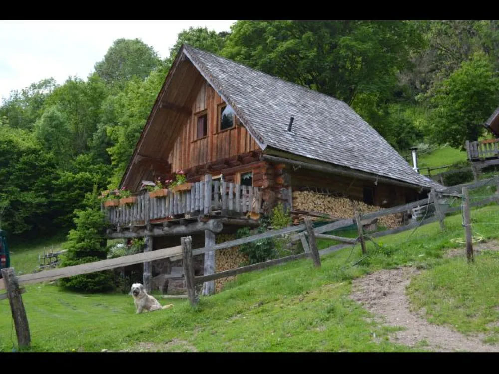 le chalet du bucheron en été 