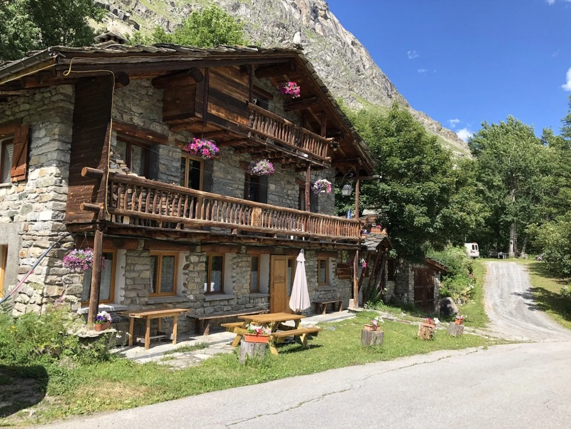 Les pervenches
