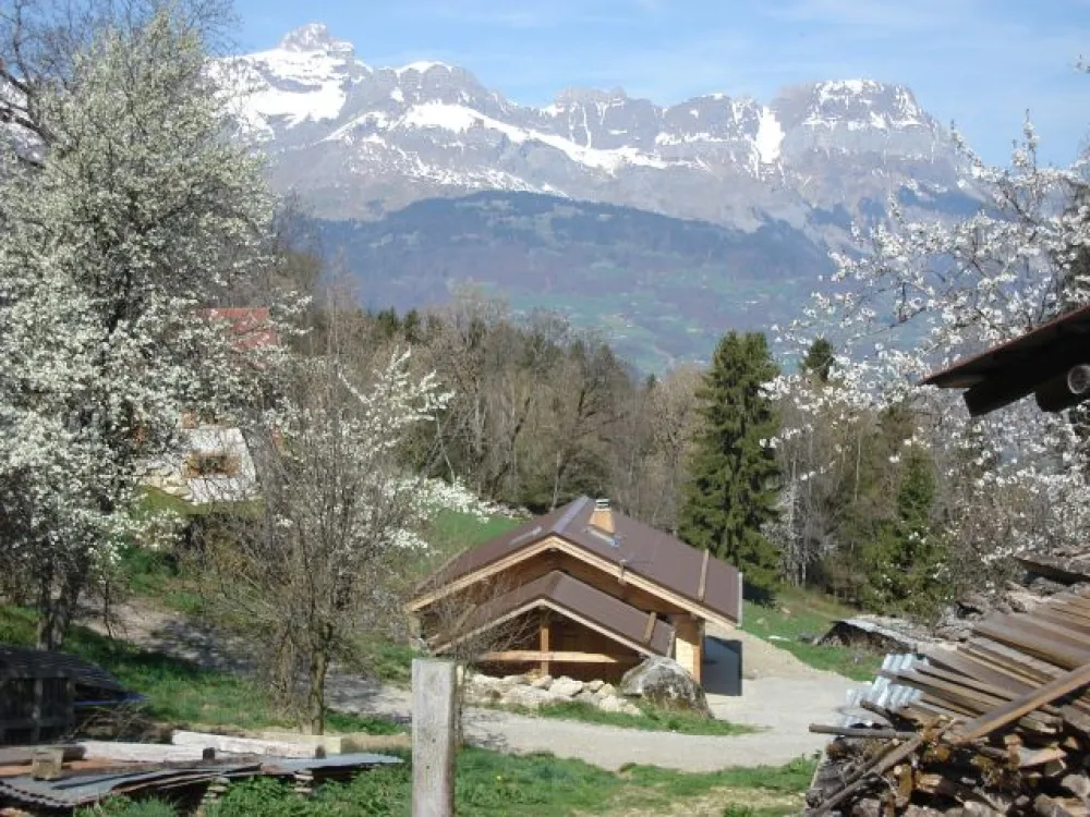 Les marmottes