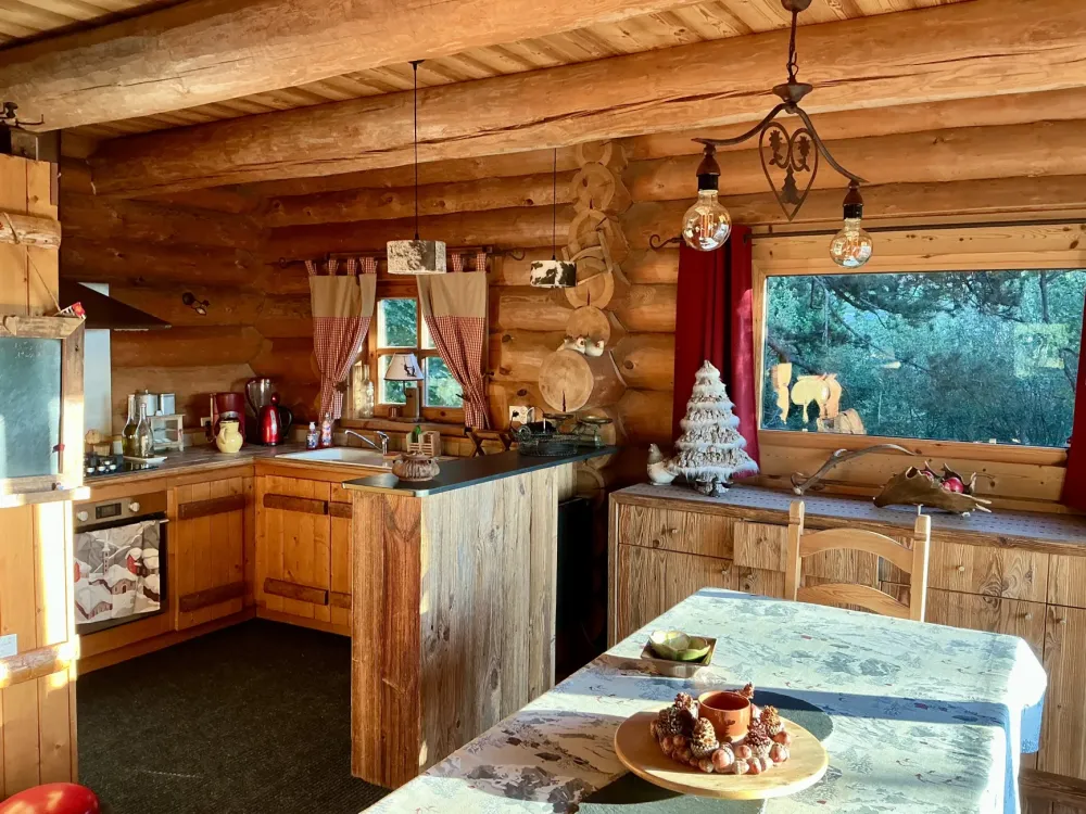 salle à manger et cuisine avec vue dans les arbres 