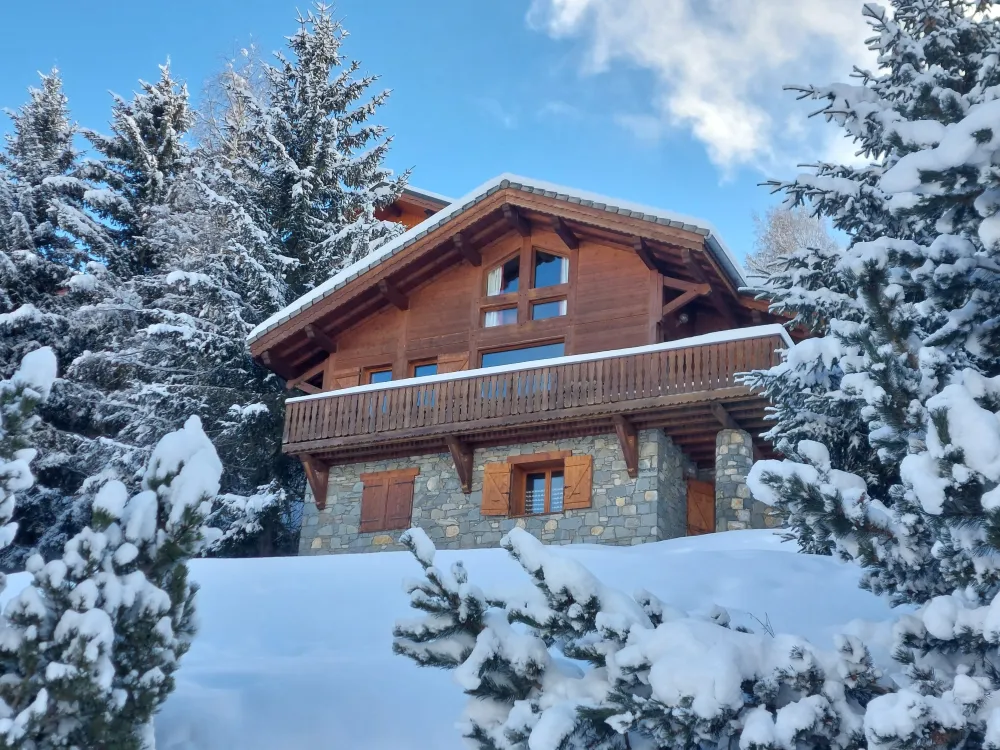 La plagne montalbert - chalet les arolles b