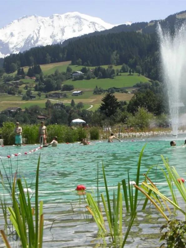 plan d'eau biotope à  2 Km du gîte