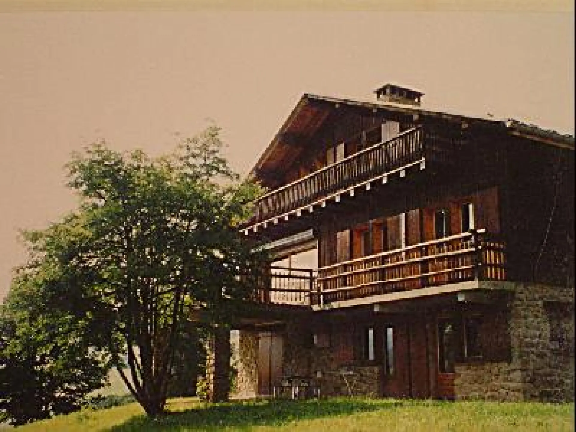 Grand terrain autour du chalet !