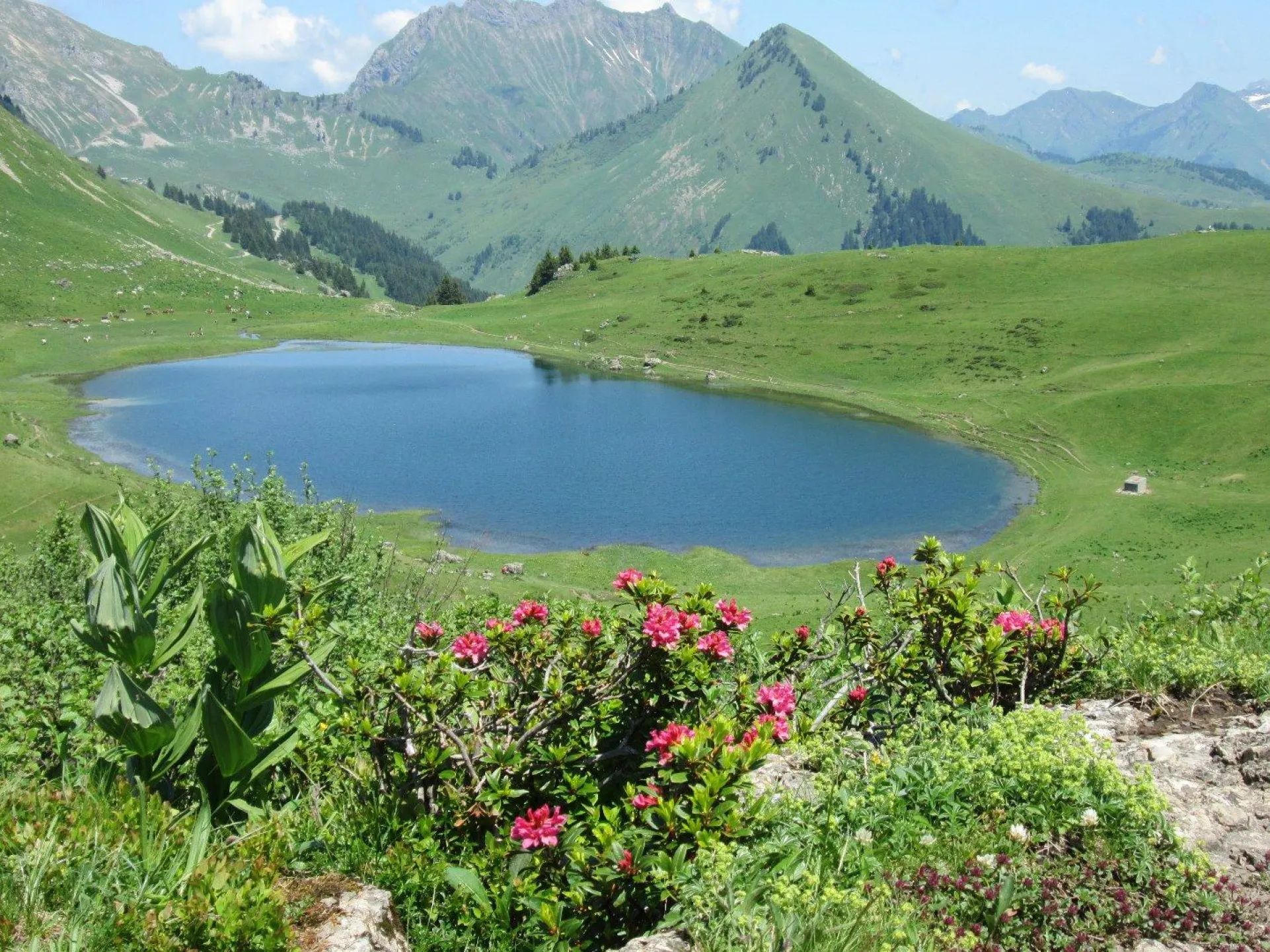 Le lac du Roy proche de l'appartement à pied