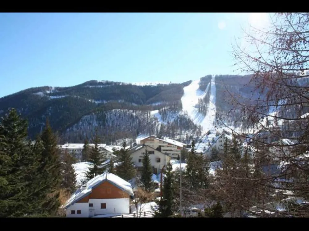 view