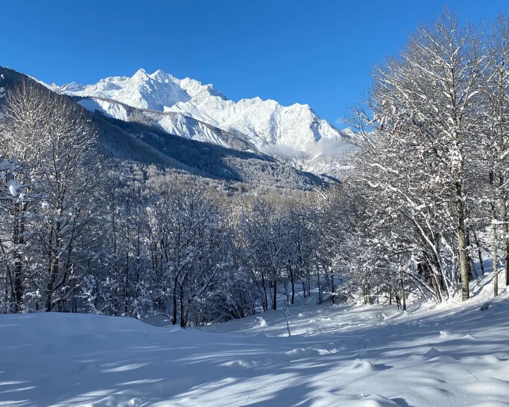 La forêt à coté du chalet sous la neige. Prêt pour une balade en raquettes?