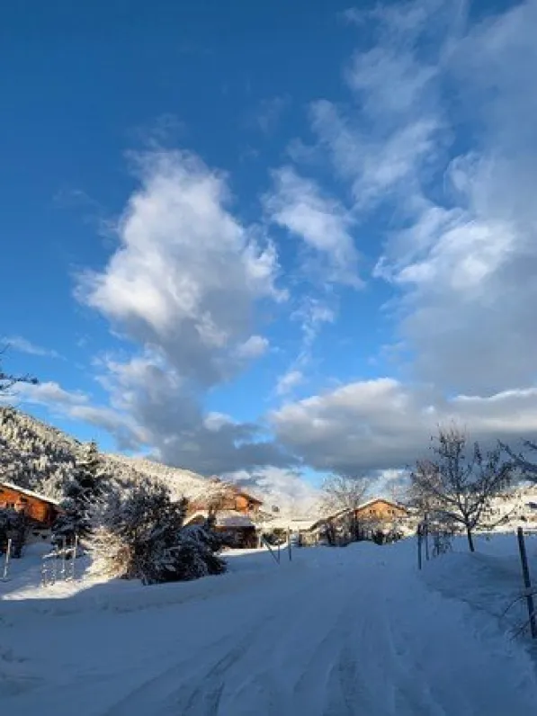 vue depuis l'arrière du chalet , côté vallée de megeve