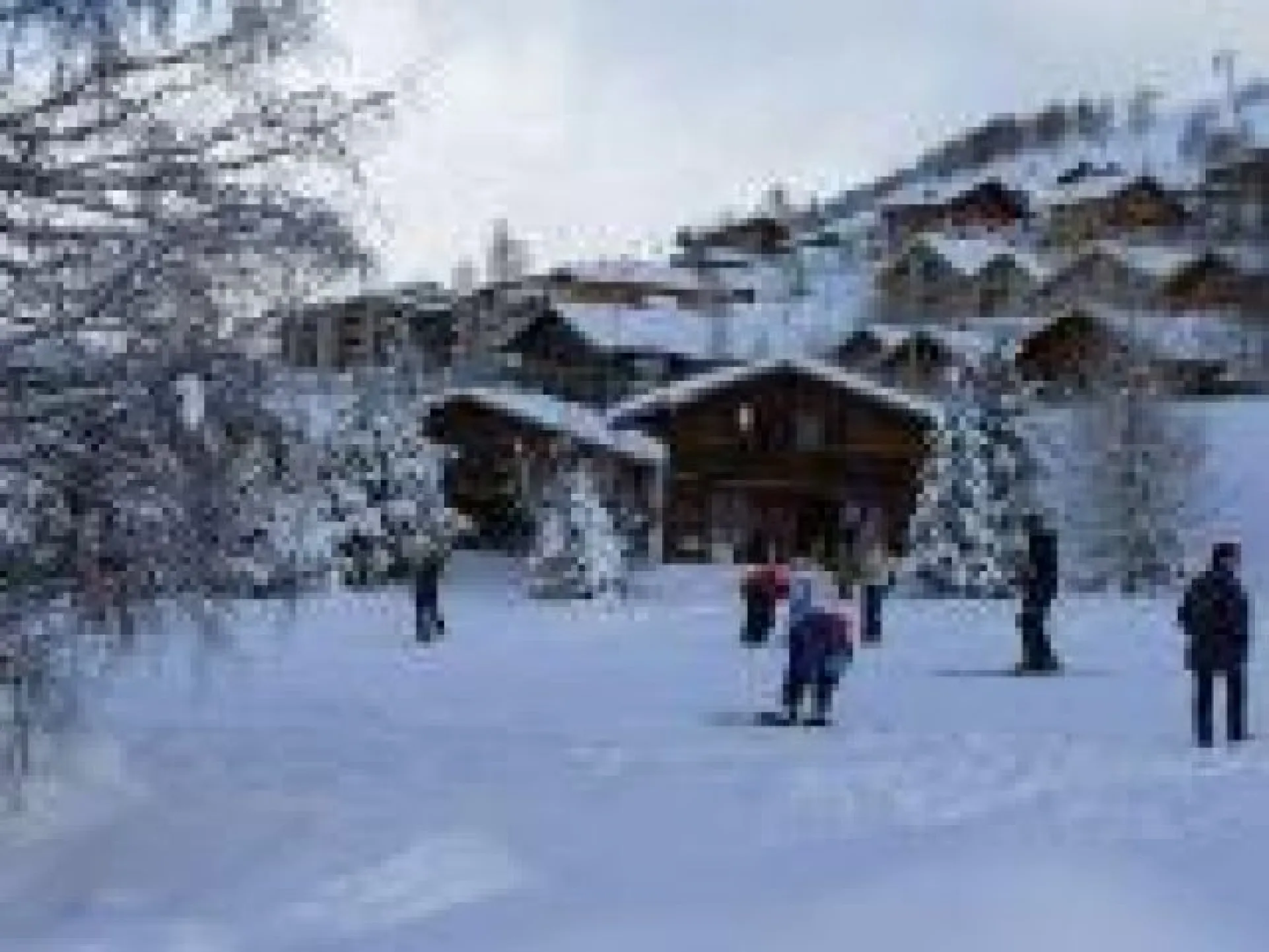 FIRST CHALET ON THE PICTURE , WITH VIEW ON ITS GARDEN AND THE SLOPE ; THAT GREEN SLOPE LEADS TO THE LIFTS IN TWO MINUTES : SKI OUT FROM THE CHALET AND SKI IN TO THE CHALET
