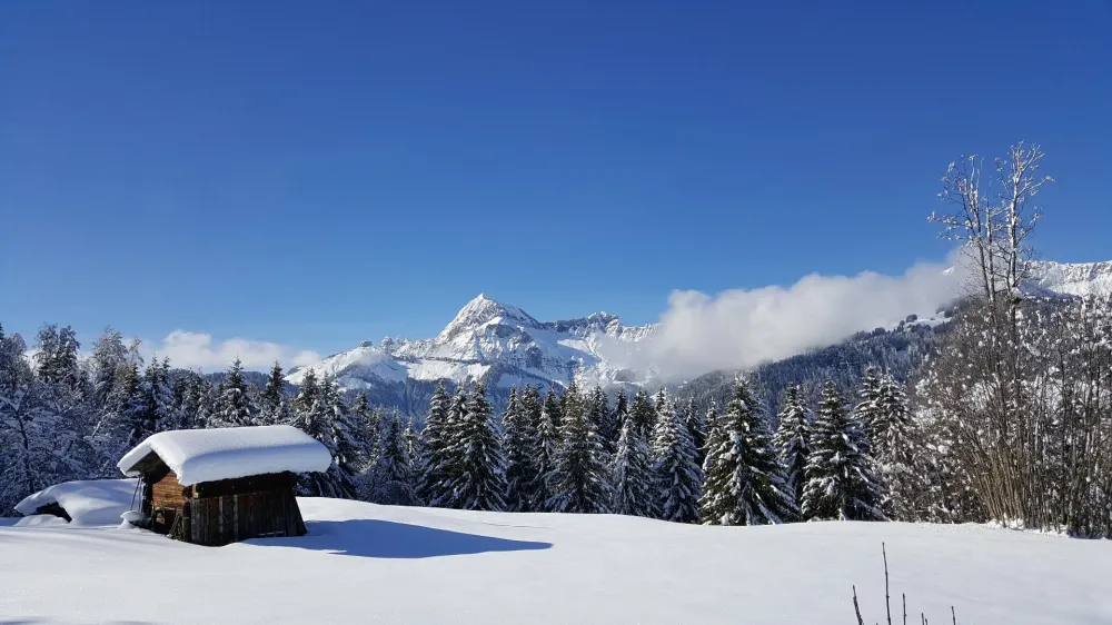 vue du chalet