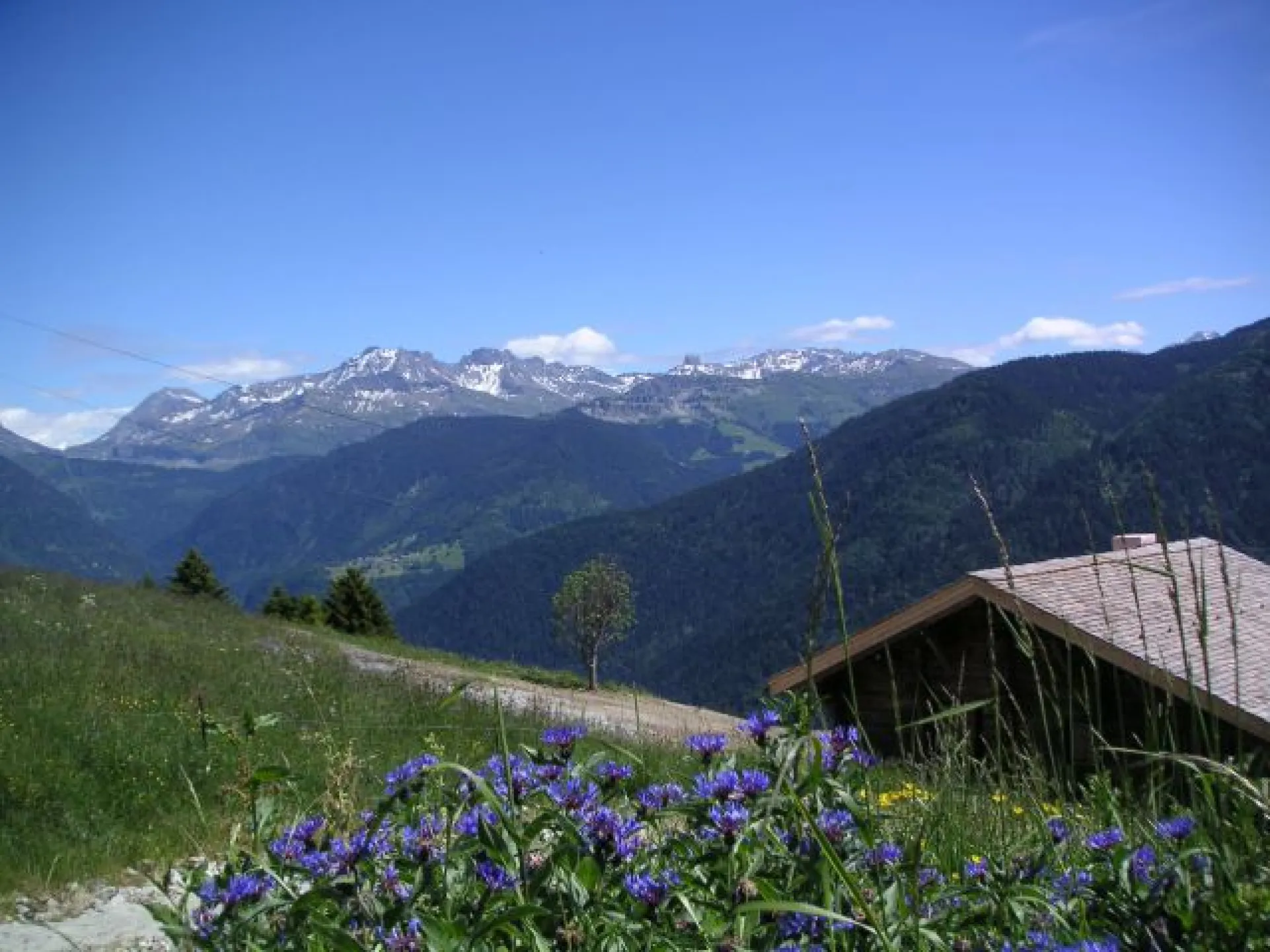 Vue côté du chalet depuis la route - vue sur Pierra Menta