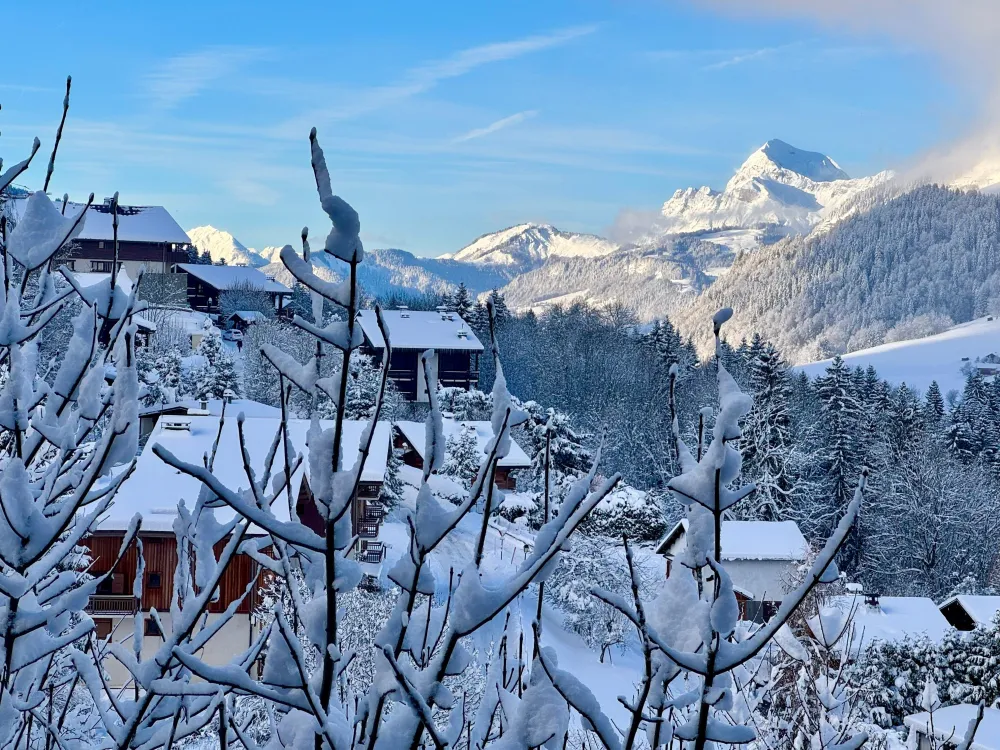 Chalet megeve 10 personnes proche pistes et calme