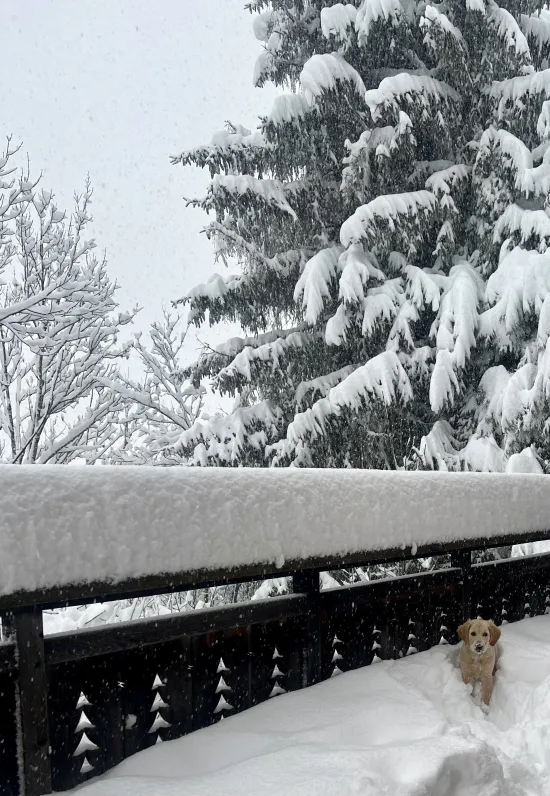 Chalet megeve 10 personnes proche pistes et calme