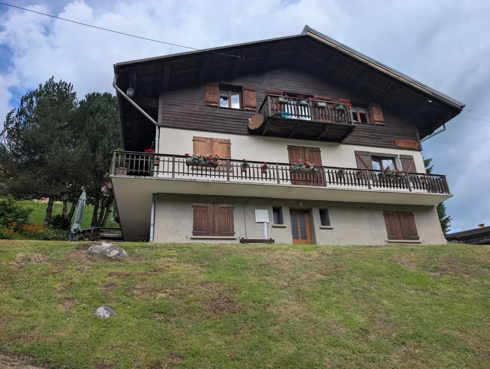 Les grillons