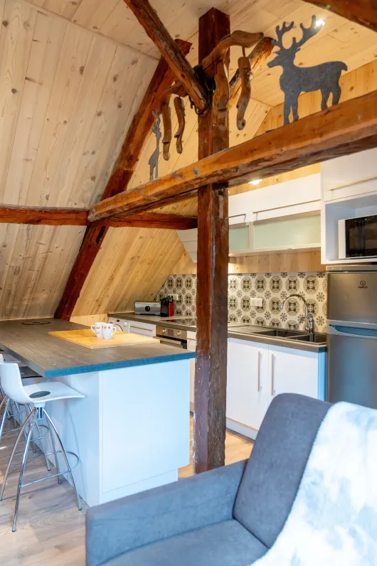 L'alpage, duplex *** à 200 m des pistes, des grands bains et des commerces, séjour sans voiture