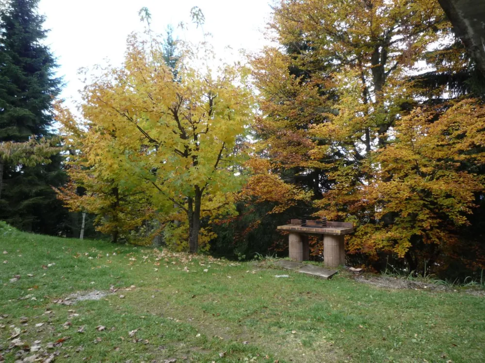 Les belles couleurs de l'automne pour un barbecue entre amis