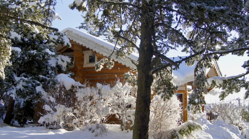 Le chalet des pins