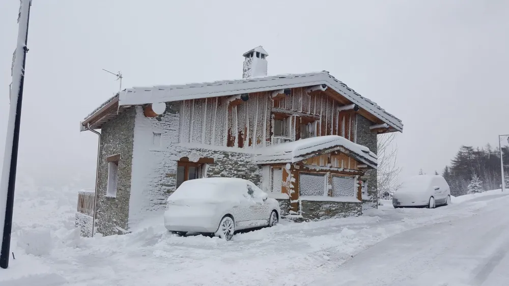 Le pin cembro la norma