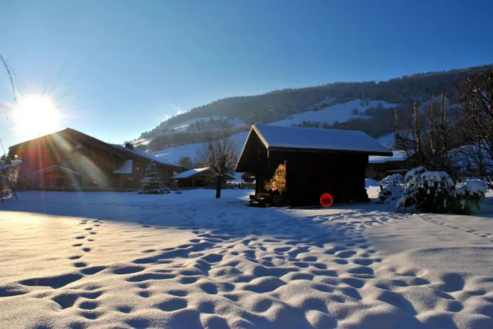 Jardin en hiver