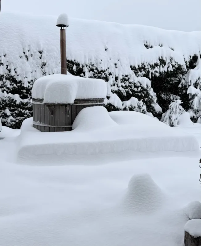 Jardin en hiver
