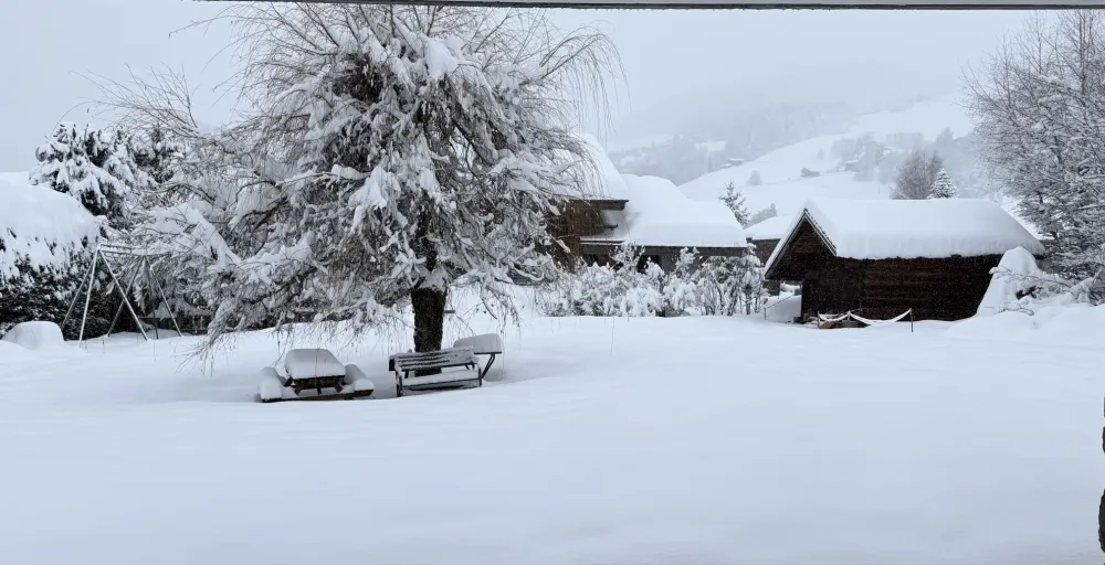Jardin en hiver