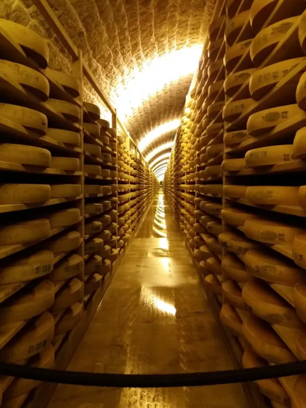 Les caves à Comté du fort des Rousses