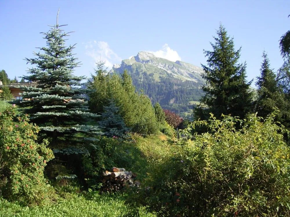 Vue du chalet coté sud - mont de l'étale -été