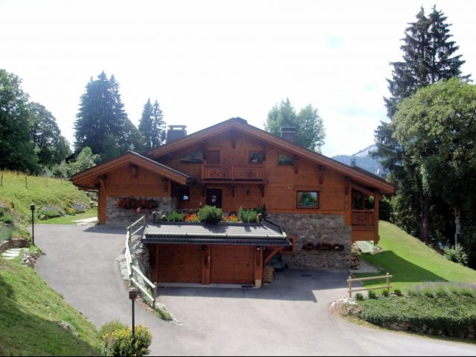 Edelweiss -megève - alpes