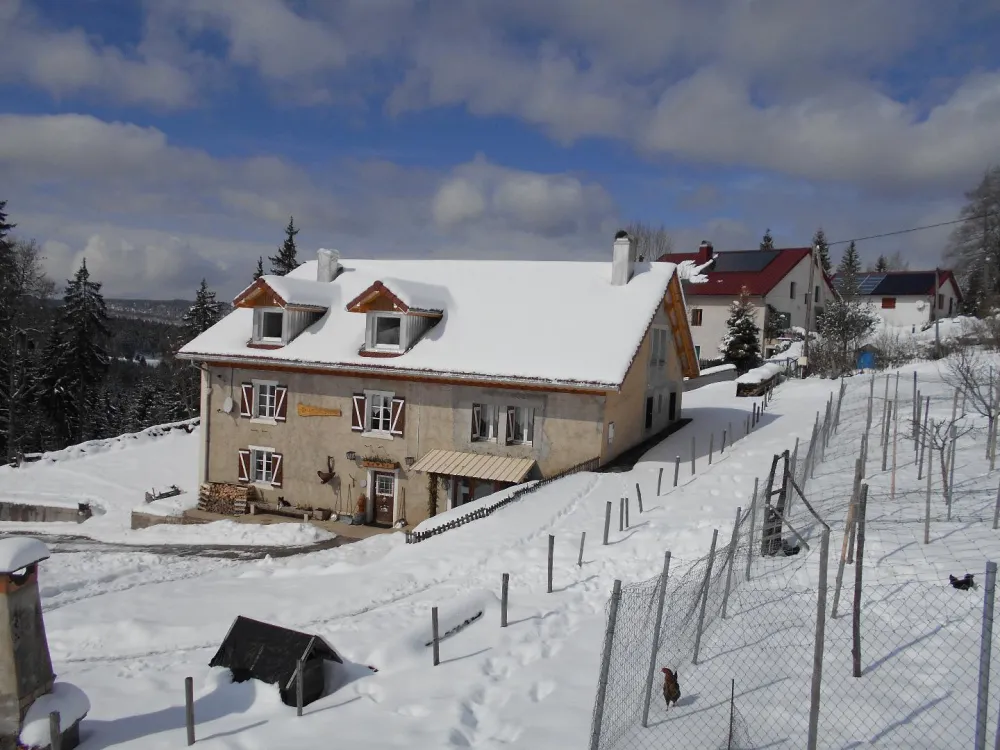 Douceur de l'hiver