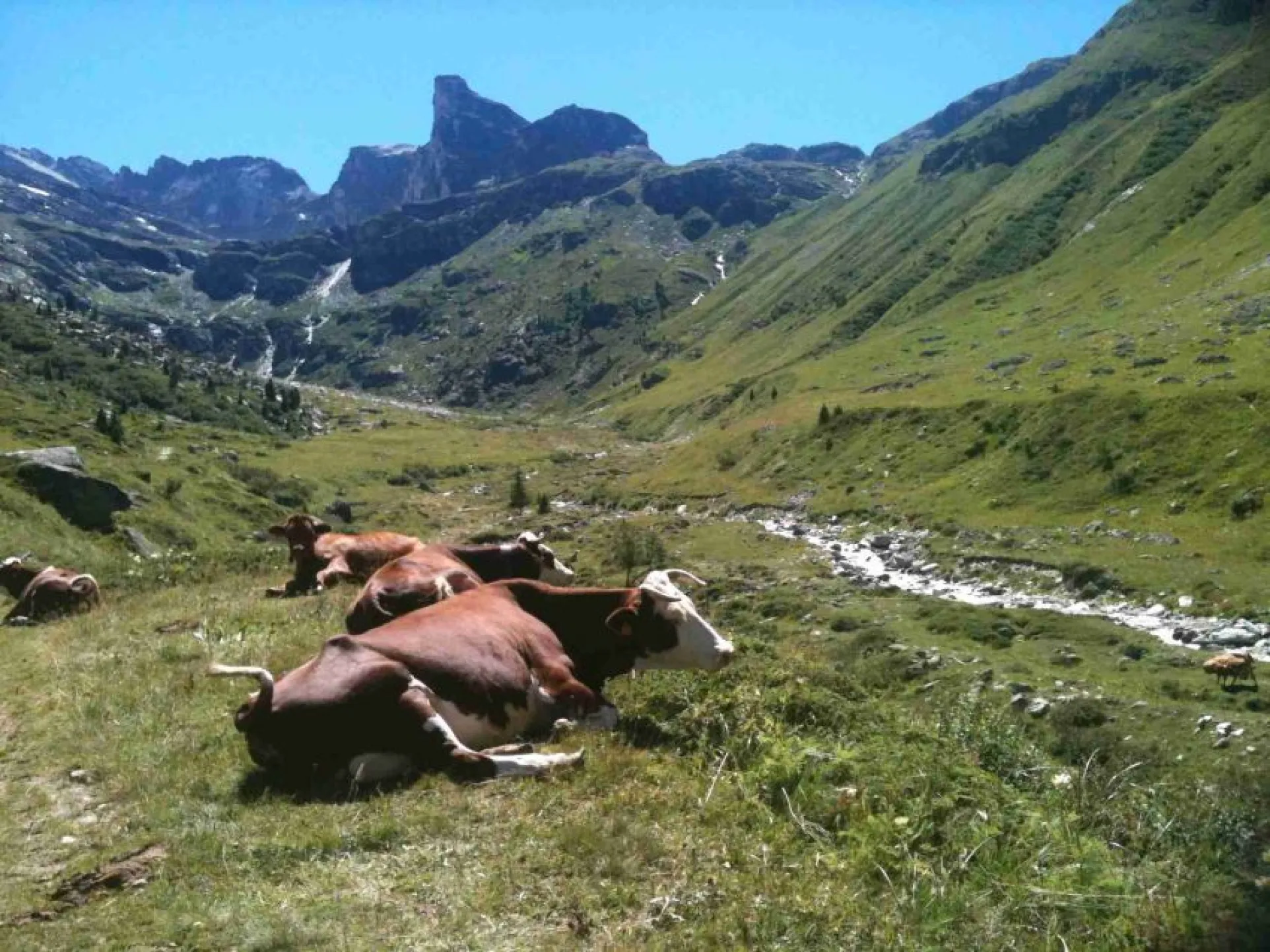 Belles promenades: ici le vallon de l'Estache avec ses cascades, la ferme et ses produits régionaux(fromages charcuterie, miel de montagne...) 