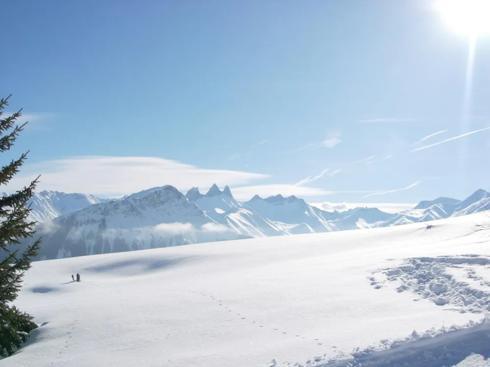 Le montagnard