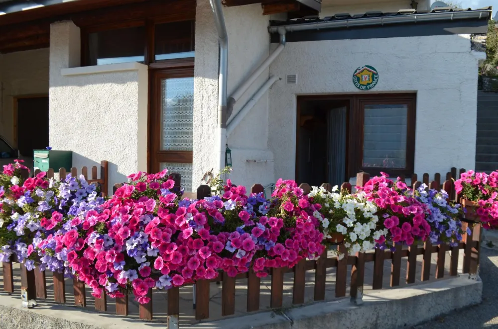 L'ancolie