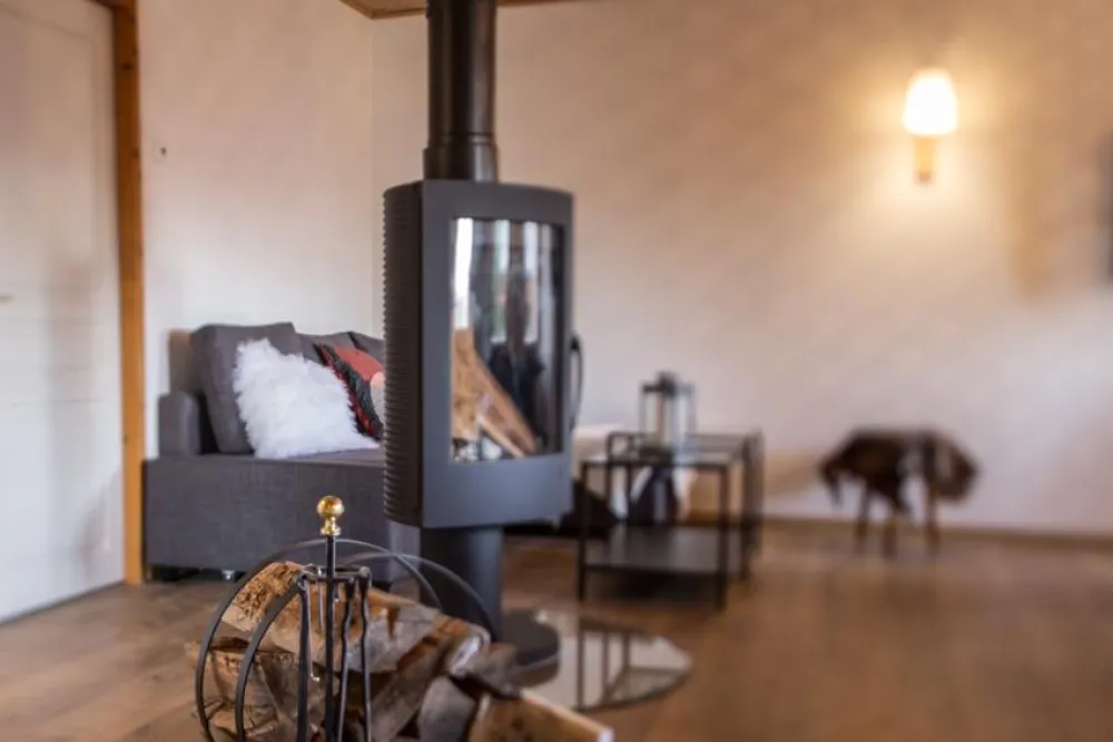 Salon avec poêle à bois (bois offert)