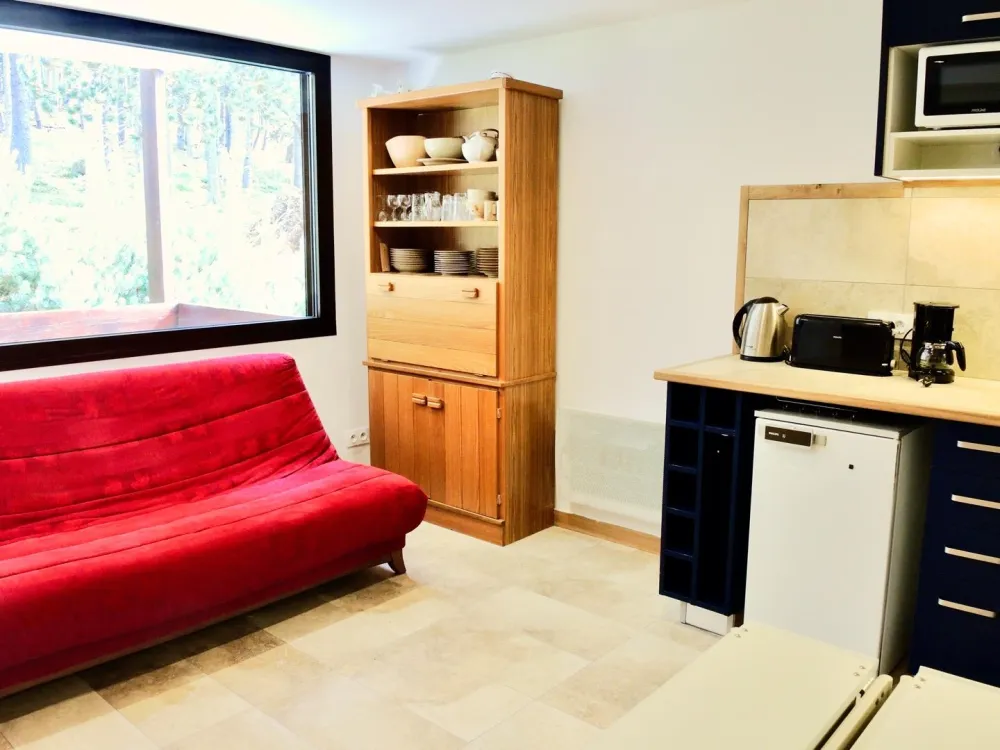 Convertible sofa and new double glazed window and door with their roller shutters.
1st piece of furniture in blond elm with its bar.  The radiant heater.
Through the large window, the terrace overlooking the forest and slopes.