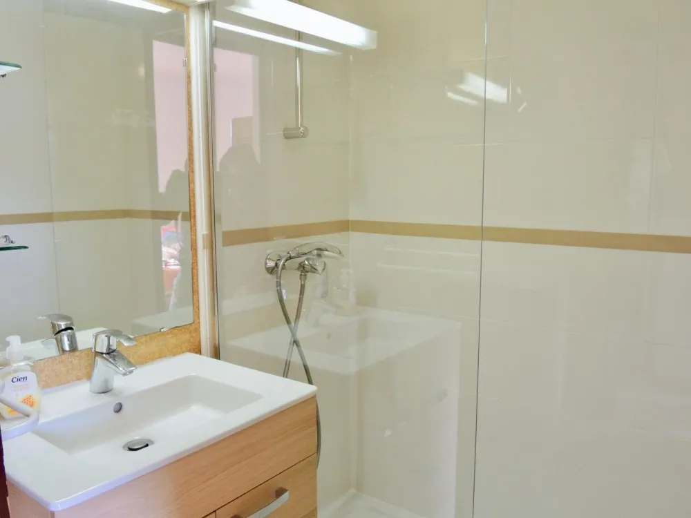 The shower-room,  the washbasin with its storing cabinet.