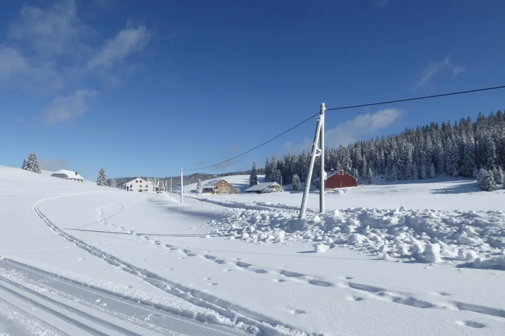 A proximité immédiate des pistes de ski de fond.