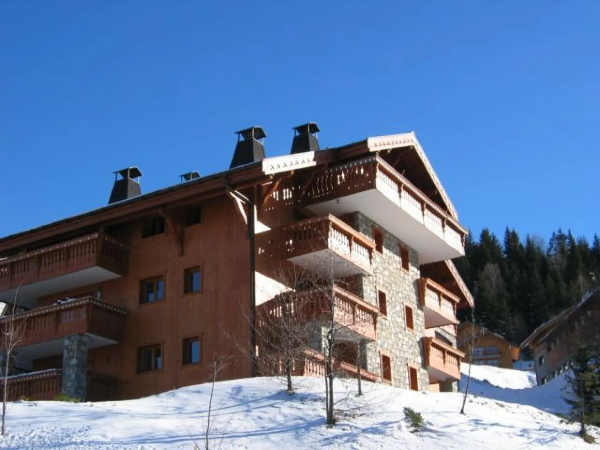 The Chalet : the apartment is at the upper level, and especially convenient for 6 adultes with 2 kids . It includes one big main room with a large balcony and a fire place , 4 rooms 2 bathrooms , 2 WC, one places for skis and a parking place 