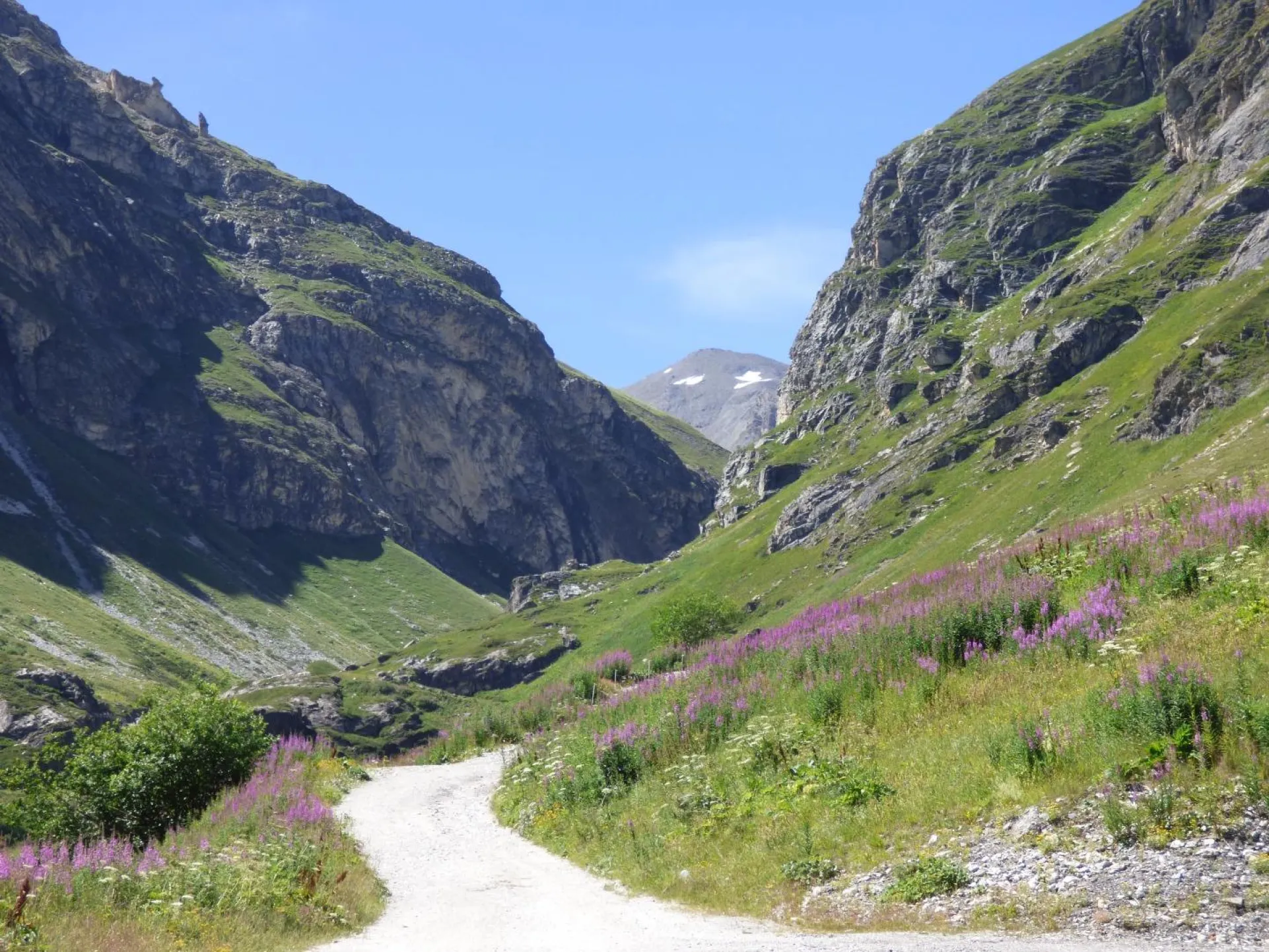 Summer has arrived ! Our Cristal chalets are ready to welcome you.