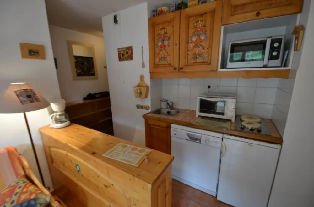 Cuisine ouverte sur séjour avec four, micro ondes, réfrigérateur et lave vaisselle