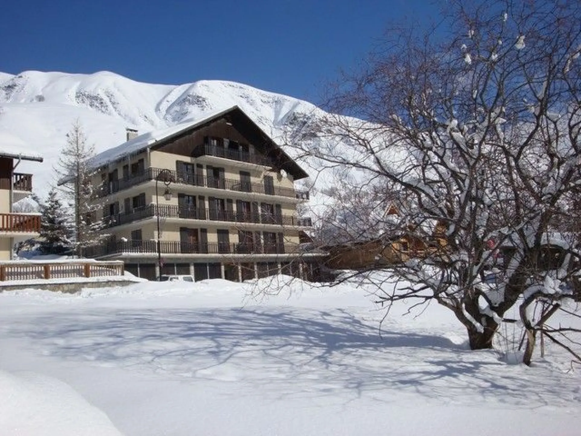 Le genepi