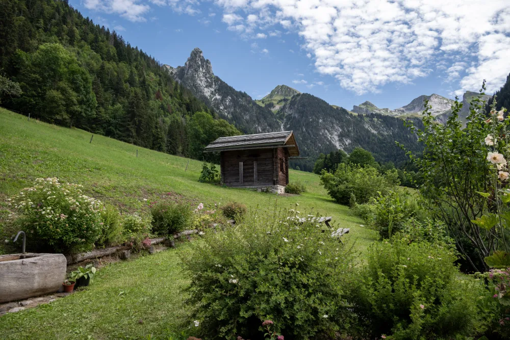 Authentique chalet d'alpage l'aiguille à manigod
