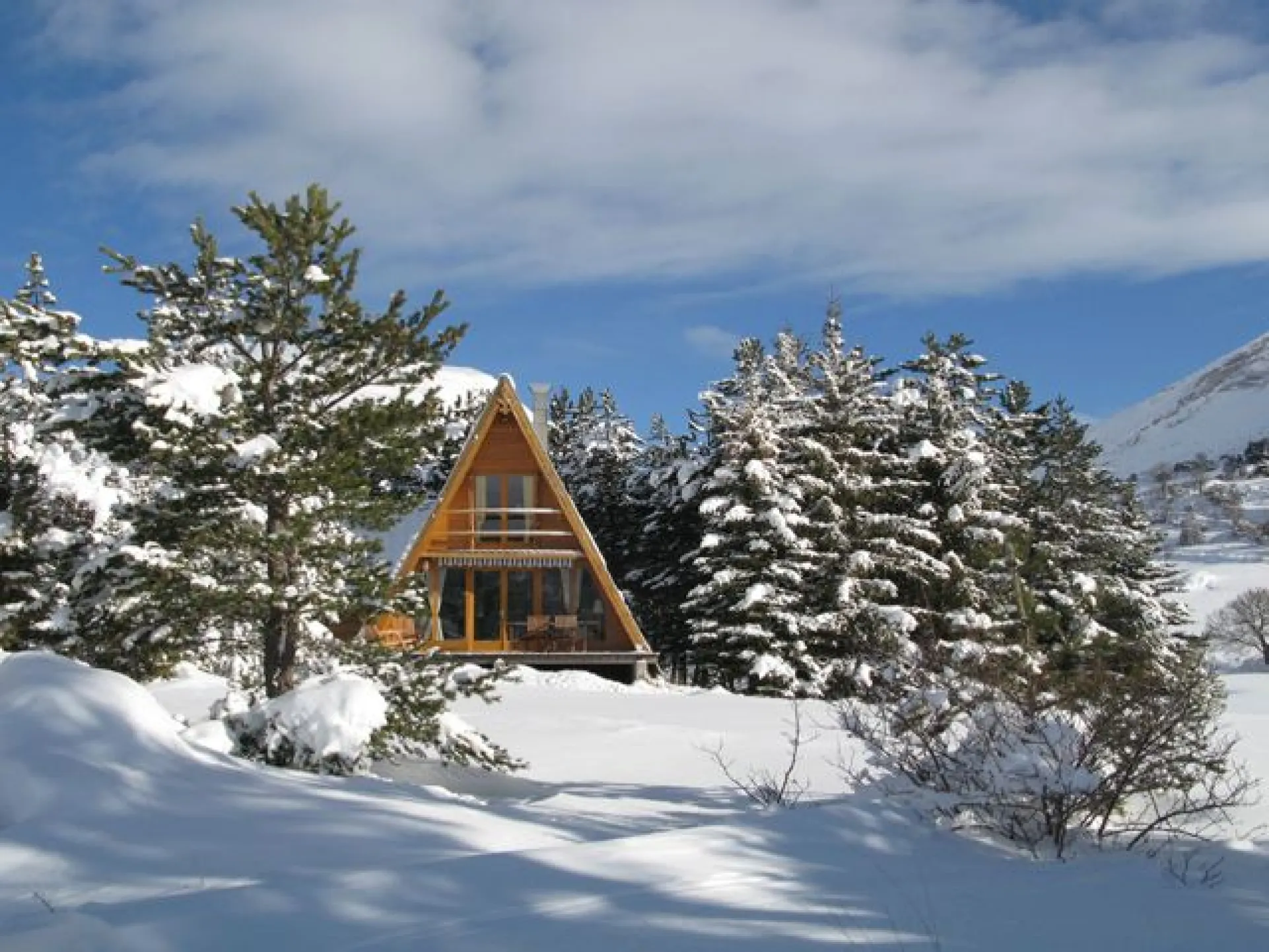 Vue d'ensemble du chalet et de son jardin