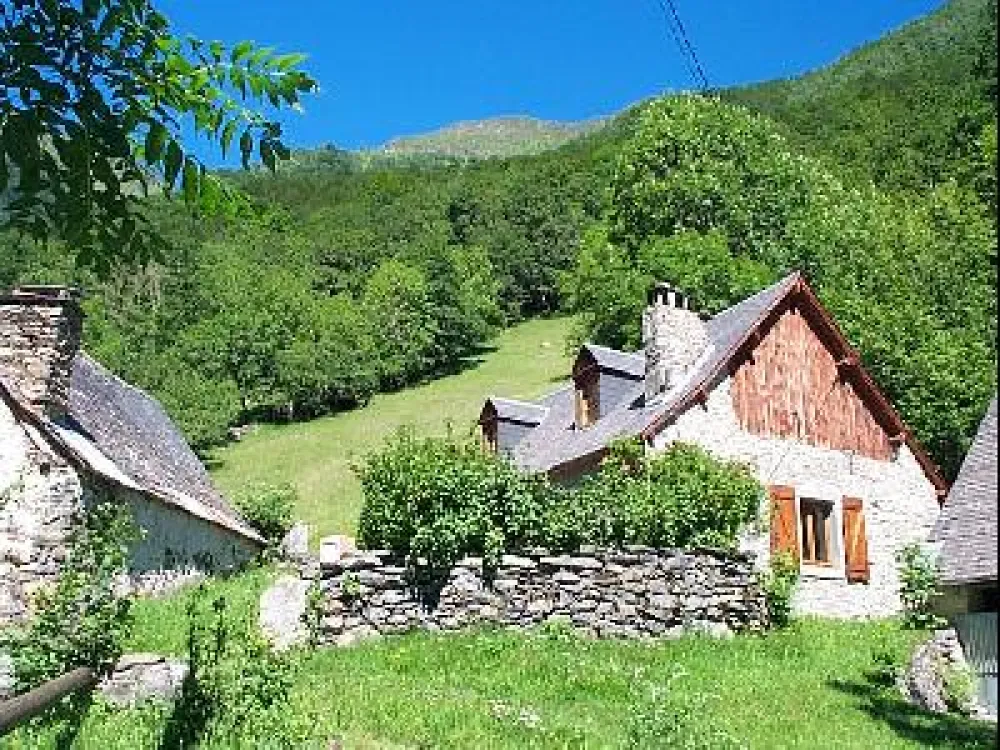 et oui on y  trouve des Cèpes et des Morilles.
on y voit les biches.