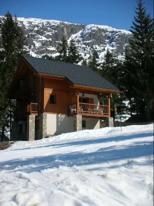 vue chalet lisière des pistes